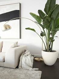 planten