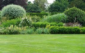 tuin