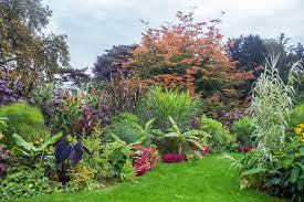 vaste plant