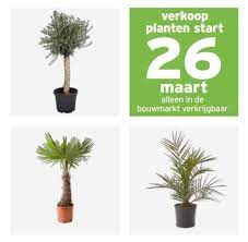 gamma planten