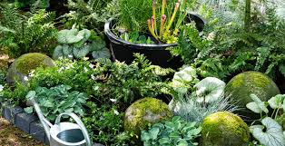 online tuinplanten