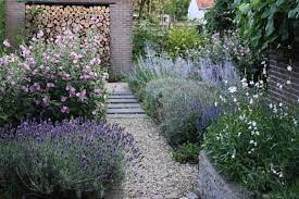 vaste tuinplanten