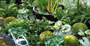tuinplanten bestellen