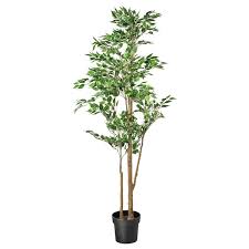 ikea planten