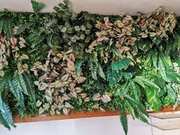 kunst planten