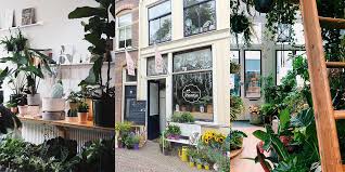 planten winkel