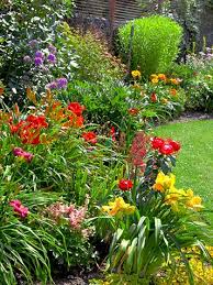 vaste planten met bloemen