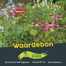 vaste planten spruyt