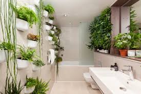 badkamer planten