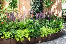 border planten winterhard