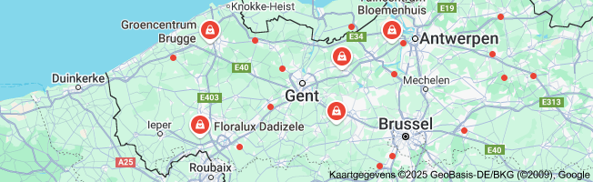 aloë vera plant kopen