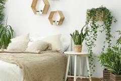 planten op slaapkamer