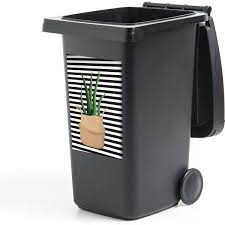 aloe vera plant kopen