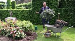 rododendrons planten