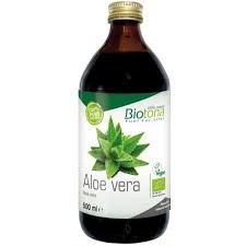 aloe vera plant kopen