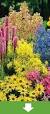buiten planten