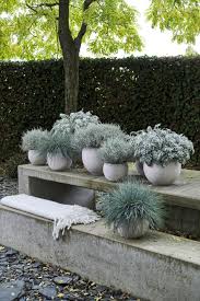 planten voor buiten