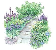 planten voortuin