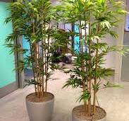 plastic planten
