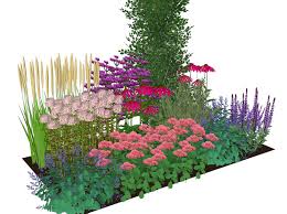 vaste planten border