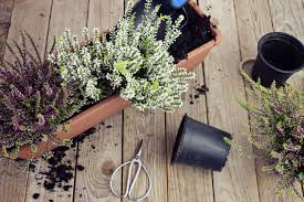 winterharde planten bloembakken