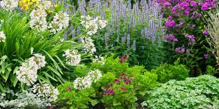planten voor bloembakken in volle zon