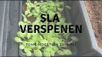 sla planten