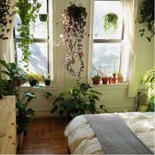 slaapkamer plant