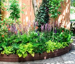 vaste planten voortuin