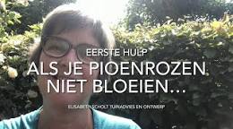 pioenroos planten