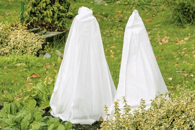 vliesdoek voor planten