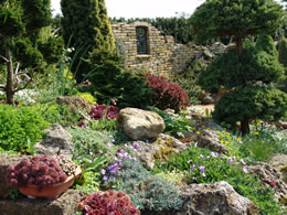 rotstuin planten