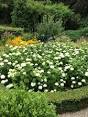 annabellen planten