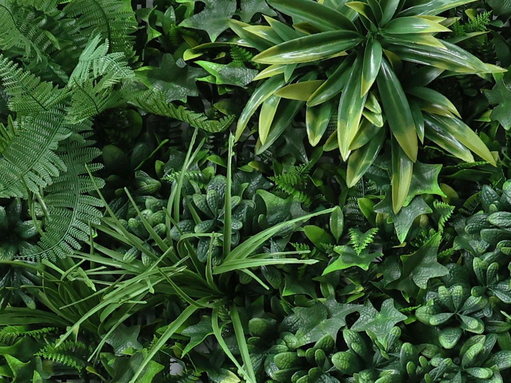 jungle planten