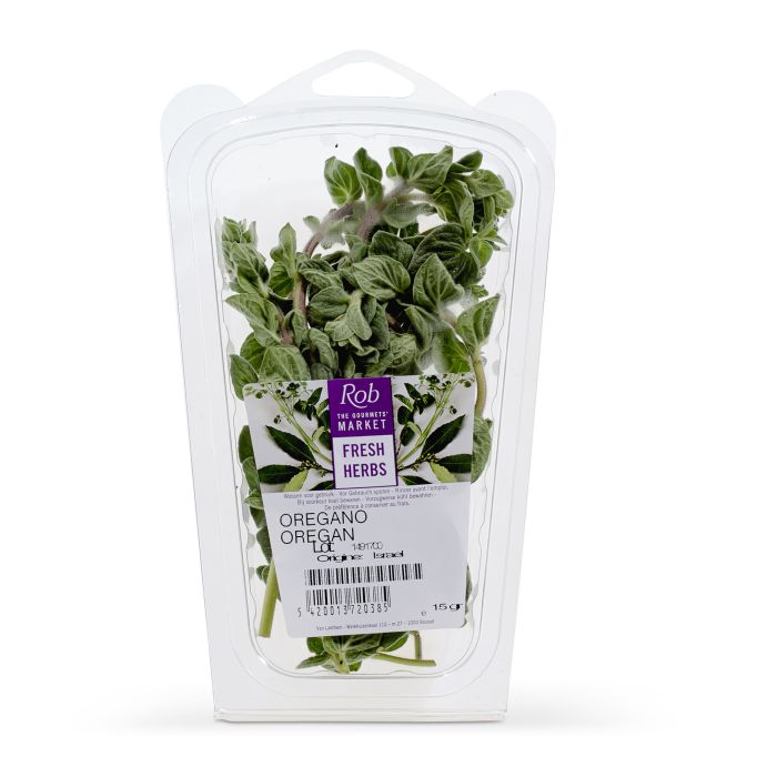 oregano plant kopen