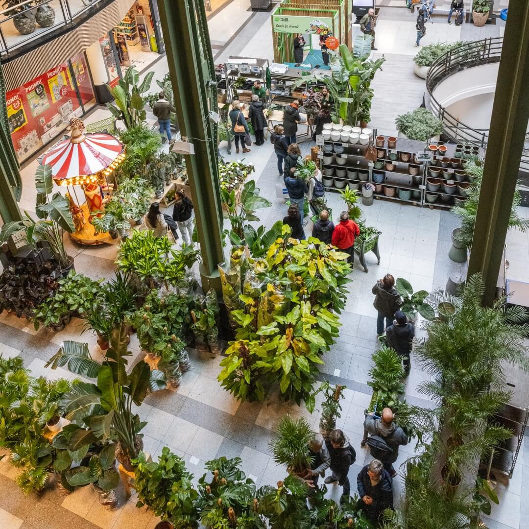 planten outlet